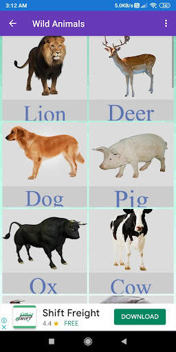 Animals Learning: Animals, Birds, Insects Images screenshot 1