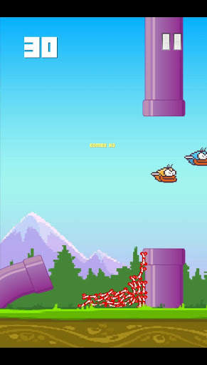 Bird Crush screenshot 4