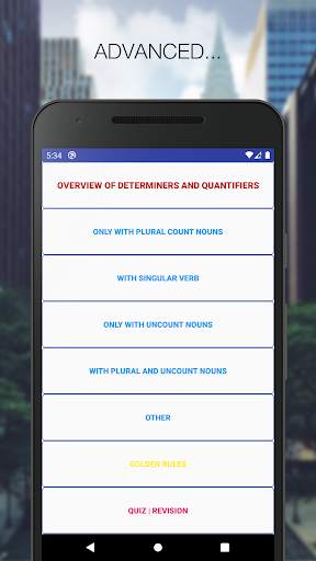 Determiners and Quantifiers screenshot 2
