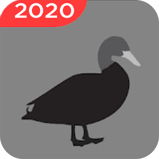 Duck vs Hunter icon