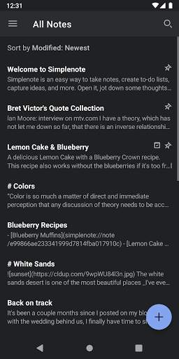 Simplenote screenshot 2