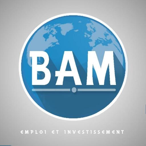BAM Emploi et Investissement icon