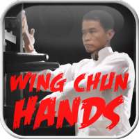 Wing Chun Hands icon