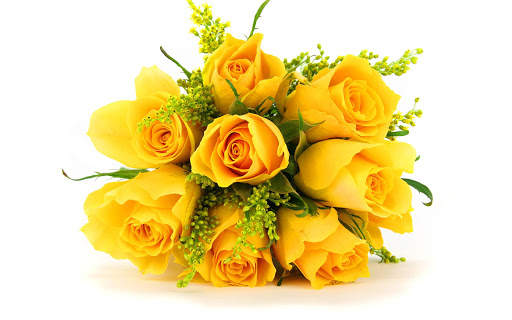 Flowers and Roses Live Wallpaper Gif App screenshot 1