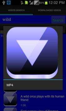 Tube Video Downloader screenshot 5