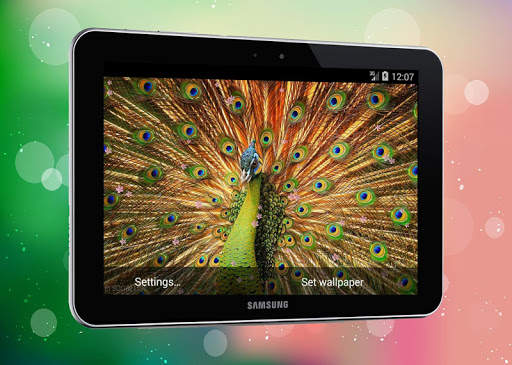 New Peacock Live Wallpaper screenshot 4