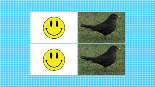 Bird Center: Kids Learn Birds स्क्रीनशॉट 5