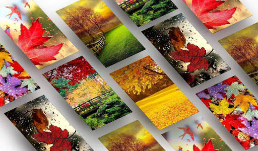 Autumn Wallpaper screenshot 2