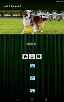 Animals & Birds Quiz screenshot 11