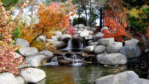 10000  Nature Wallpapers HD (Offline) screenshot 5