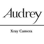 AudreyAR 2019 icon