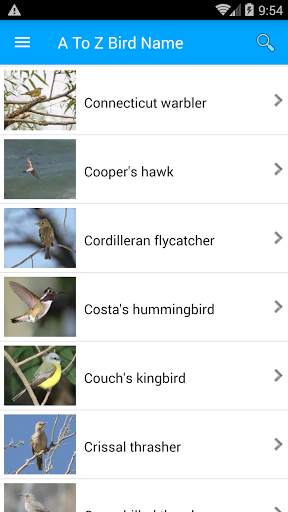 Bird Name And Sound screenshot 2