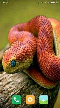 HD Snake Wallpapers screenshot 15
