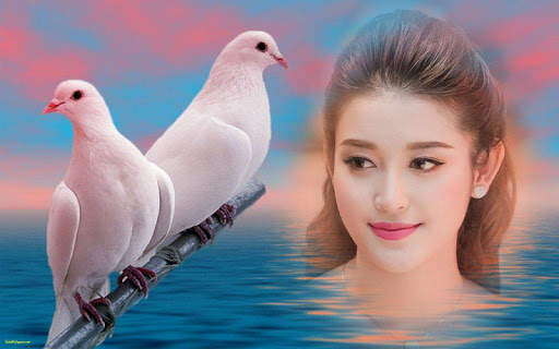 Birds Photo Frame screenshot 1