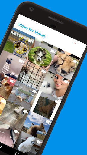 Video For Vimo screenshot 2