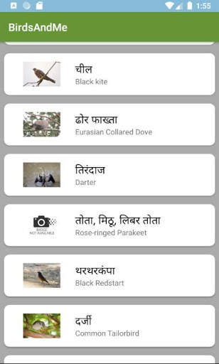 Birds And Me - a Bird reference guide screenshot 3