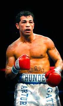 Boxing Wallpapers screenshot 4