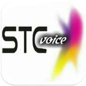 STC Voice 1.34