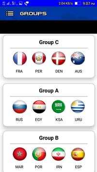FIFA World Cup 2018 screenshot 5