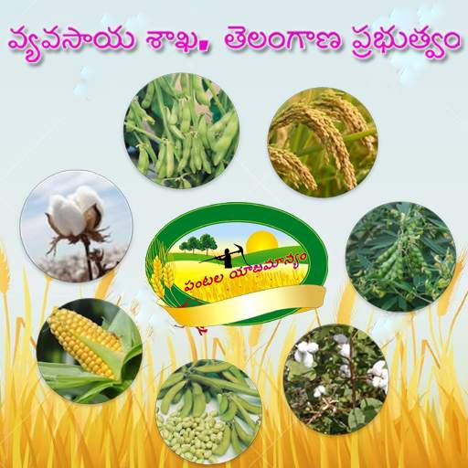 Pantala Yajamanyam 1.0.1