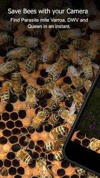 BeeScanning 1 تصوير الشاشة