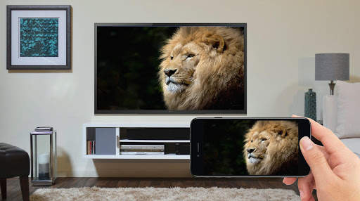 Screen Mirroring to TV screenshot 2