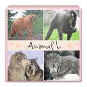 Animals icon