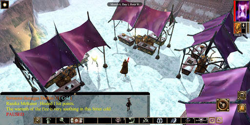 Neverwinter Nights: Enhanced Edition screenshot 1