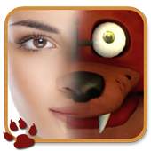 Foxy PhotoMix 1.1