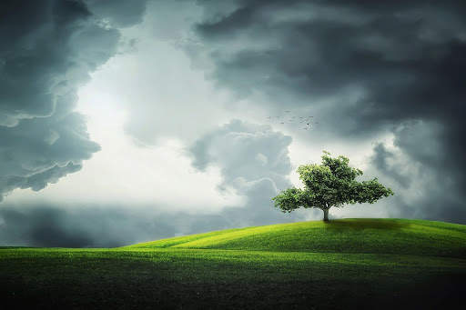 Summer Wallpapers | hd backgrounds screenshot 12