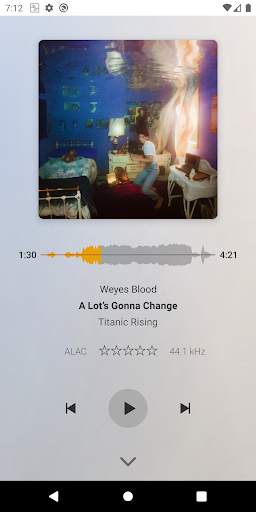 Plexamp screenshot 5