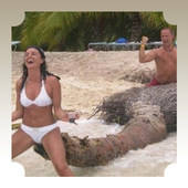 Funny Videos icon