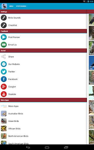 Birds of Prey Sounds Free screenshot 24