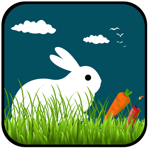 Bunny Run icon