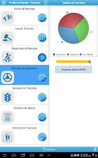 Prueba de Manejo -Pesados Lite screenshot 14