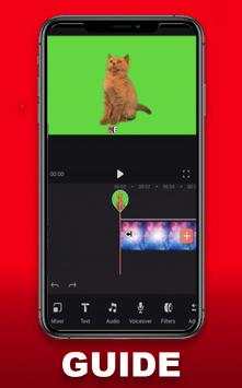 Tips Video Leap Video Editor Enlight 2020 скриншот 2