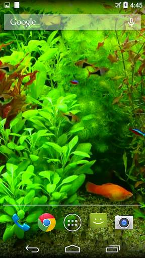 Real Aquarium 3D Wallpaper screenshot 2