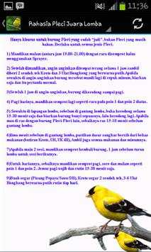 Birds Song Cicikacamata screenshot 3