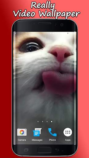 Cat Lick Screen Live Wallpaper screenshot 1