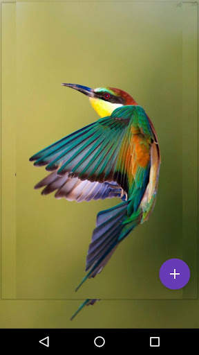 Flying Birds Live Wallpaper screenshot 6