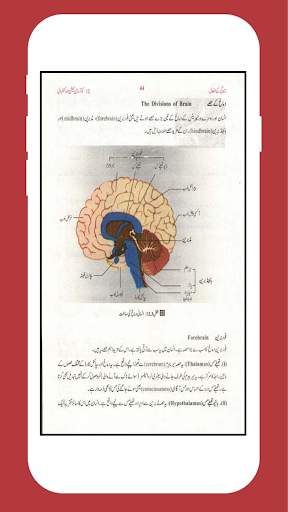 Biology 10 Urdu Medium (Offline) screenshot 5