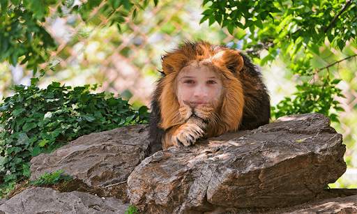Lion Face Photo Editor screenshot 1