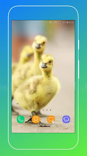 Duck Wallpaper screenshot 16