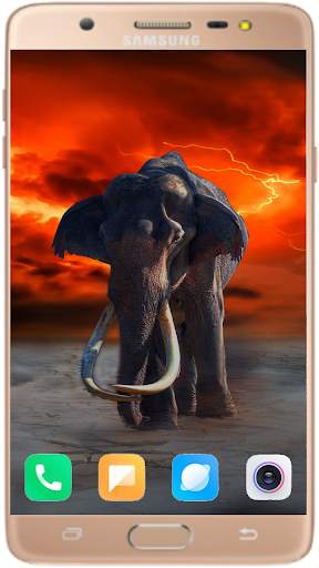 Elephant Wallpaper Best HD screenshot 16