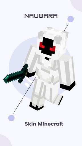 Skin Entity and Maps for Minecraft screenshot 2