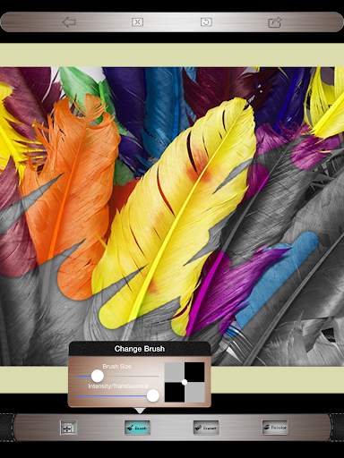 Color Effects Free screenshot 9