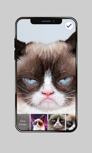 Grumpy Cat Wallpaper HD Screen Lock screenshot 3