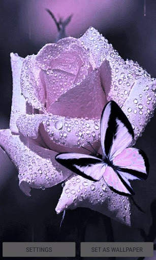 Purple Rose Butterfly LWP screenshot 1
