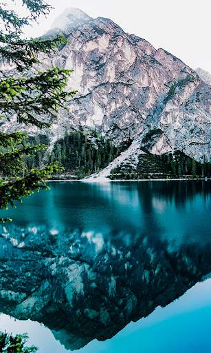 Nature Live Wallpaper Hd screenshot 6