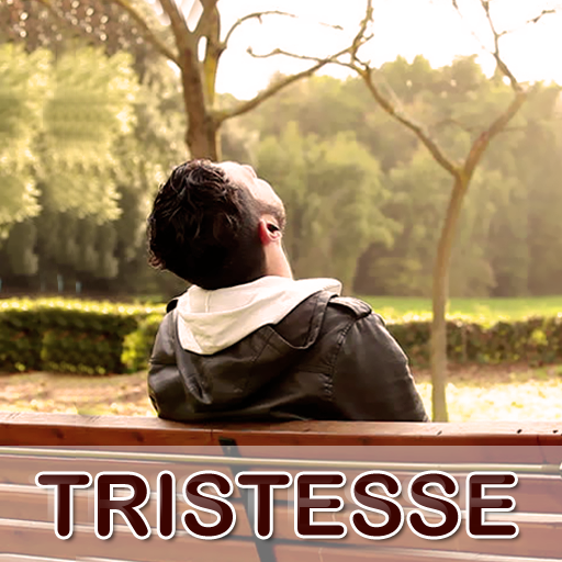 Citations Triste &amp; Proverbes icon
